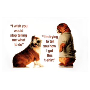 A dog and a cat are standing next to each other.