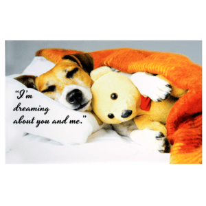 A dog is sleeping with his teddy bear.