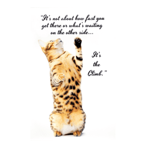 A cat standing on its hind legs with a quote.