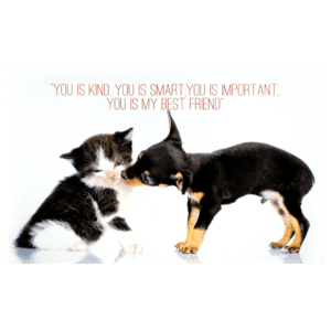 A cat and dog are kissing each other. Madison's Pet Collection.