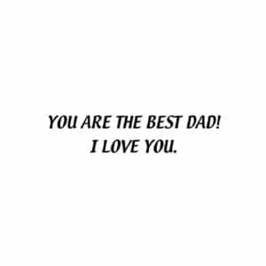 A picture of the words you are the best dad i love you.