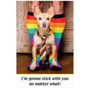 A dog wearing a tie and rainbow socks.