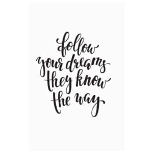 A quote that says follow your dreams they know the way.
