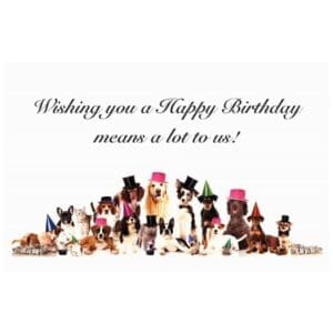 A birthday card with dogs and cats wearing hats.