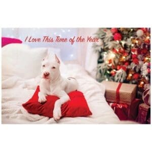 A white dog laying on top of a red pillow.
