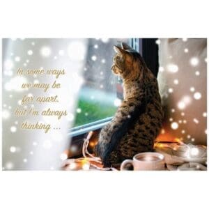 A cat sitting on the ground with candles and a candle holder.