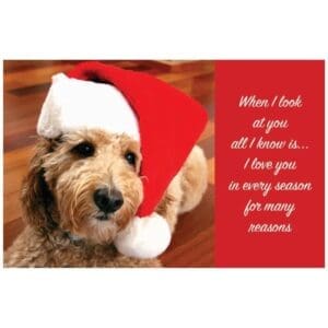 A dog wearing a santa hat with a quote.