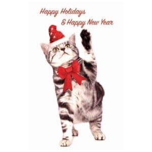 A cat with a red bow and santa hat.