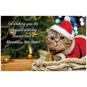 A cat wearing a santa hat and sitting on top of a table.