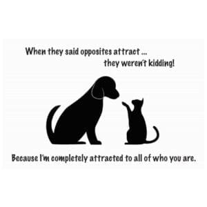 A dog and cat sitting next to each other.