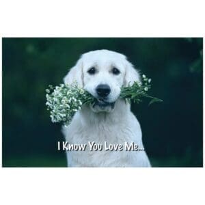 A dog holding flowers in its mouth with the words 