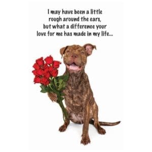 A dog holding flowers with a quote on it.